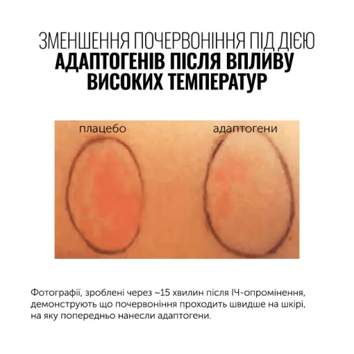 Відновлювальний крем з керамідами і комплексом пре- та пробіотиків INSTYTUTUM Superbiotic Plant-Based Ceramide Cream